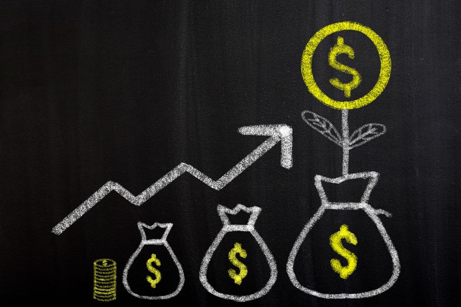 Sustainable Growth